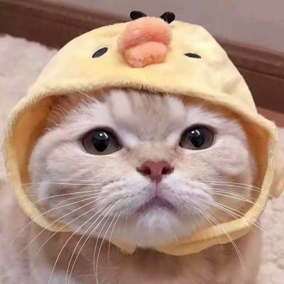 ثمینہ باری avatar